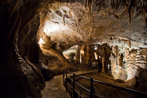 Postojnska jama - Postojna Cave