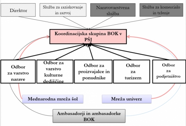 Shema participacije BOK