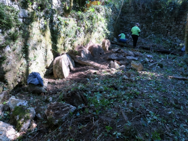 Članici Odbora za varstvo kulturne dediščine nadaljujejo s čiščenjem notranjosti ruševin po odkritju mlinskih kamnov (foto: Darja Kranjc)