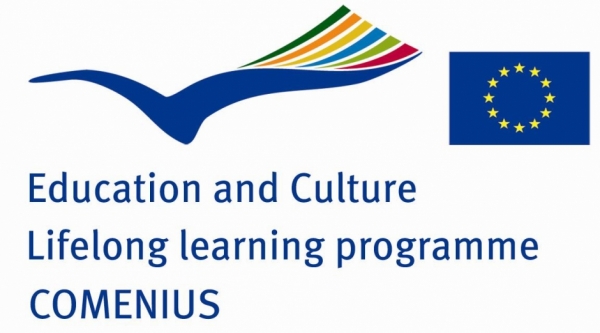 Logotip programa Comenius Regio