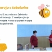 Pogovor s čebelarko Marto Prelc iz Košane (vir: OŠ Košana)
